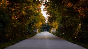 Preview wallpaper road, park, alley, trees