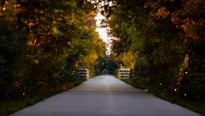 Preview wallpaper road, park, alley, trees