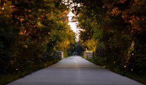 Preview wallpaper road, park, alley, trees