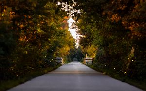 Preview wallpaper road, park, alley, trees