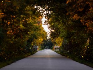 Preview wallpaper road, park, alley, trees