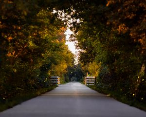 Preview wallpaper road, park, alley, trees