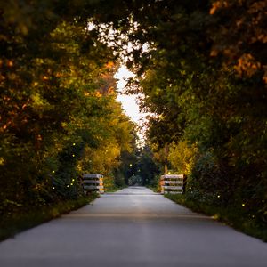 Preview wallpaper road, park, alley, trees