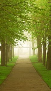 Preview wallpaper road, park, fog, morning, trees, greens