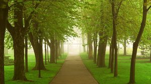 Preview wallpaper road, park, fog, morning, trees, greens