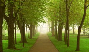 Preview wallpaper road, park, fog, morning, trees, greens