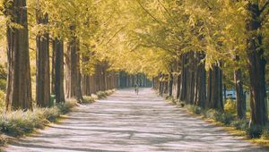 Preview wallpaper road, path, alley, light, nature