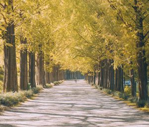 Preview wallpaper road, path, alley, light, nature