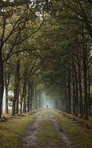Preview wallpaper road, path, alley, trees, man, distance