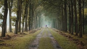 Preview wallpaper road, path, alley, trees, man, distance