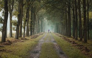 Preview wallpaper road, path, alley, trees, man, distance