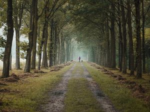 Preview wallpaper road, path, alley, trees, man, distance