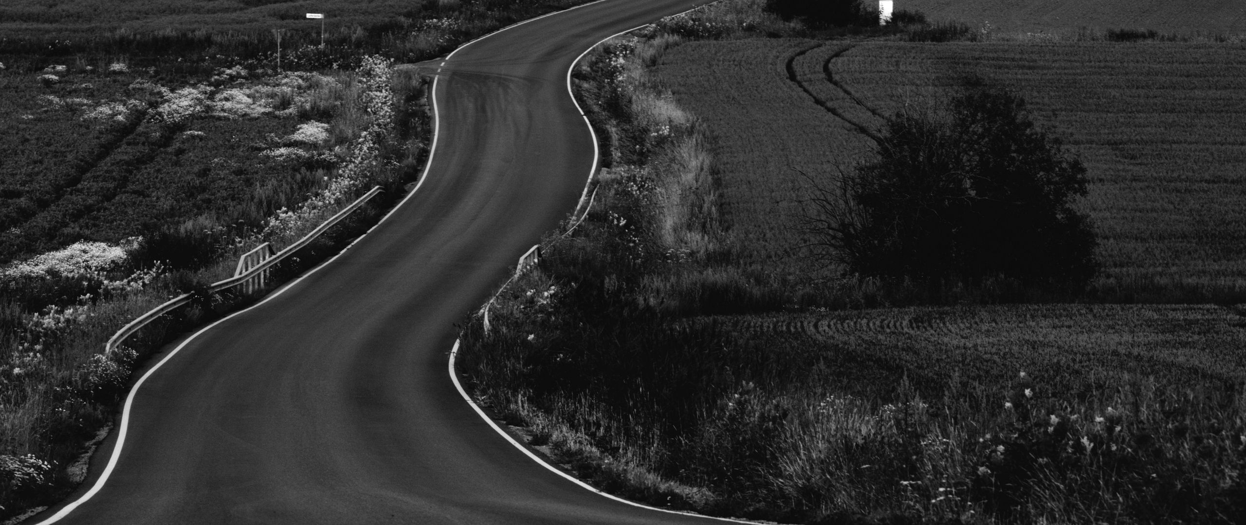 2560x1080 Wallpaper road, path, fields, landscape, bw, dark