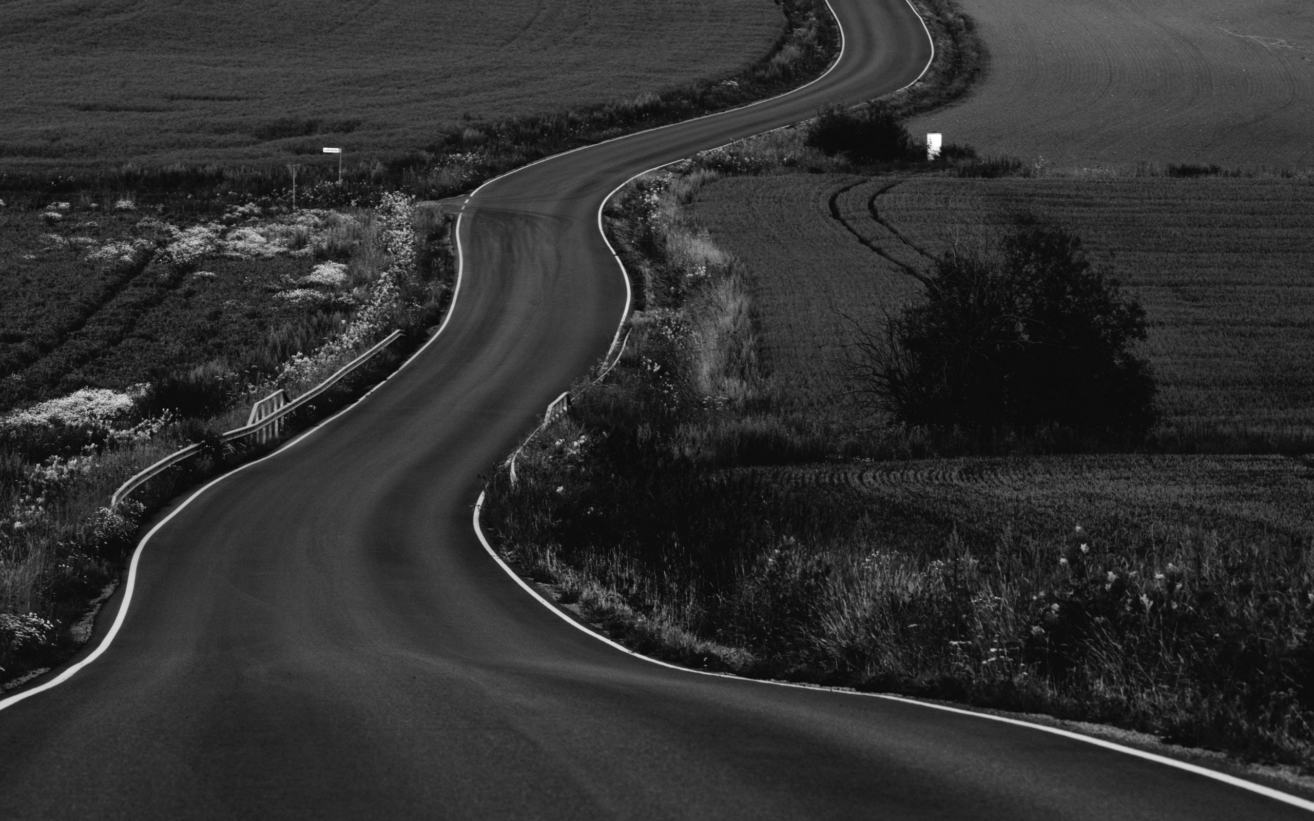 2560x1600 Wallpaper road, path, fields, landscape, bw, dark