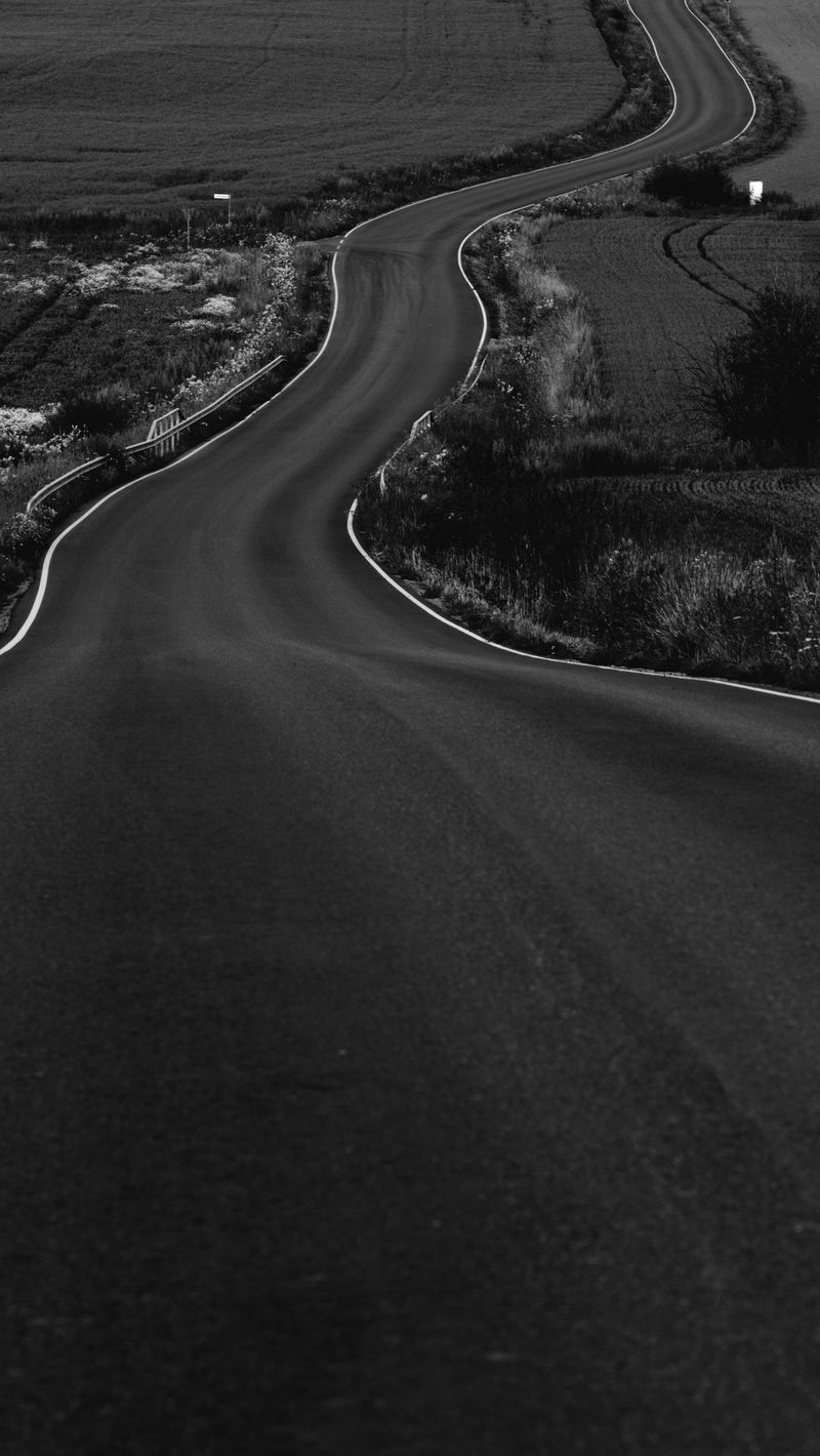 800x1420 Wallpaper road, path, fields, landscape, bw, dark