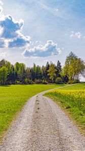 Preview wallpaper road, path, trees, grass