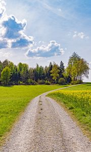Preview wallpaper road, path, trees, grass