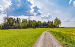 Preview wallpaper road, path, trees, grass