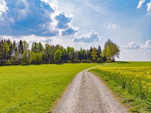 Preview wallpaper road, path, trees, grass