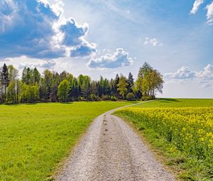 Preview wallpaper road, path, trees, grass