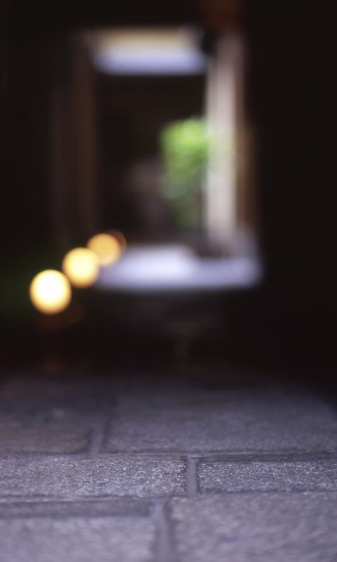 480x800 Wallpaper road, paving stones, tunnel, blur
