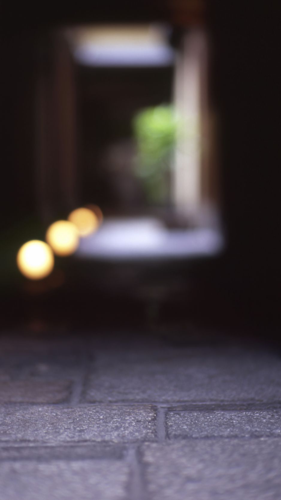 938x1668 Wallpaper road, paving stones, tunnel, blur