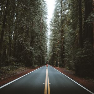 Preview wallpaper road, person, silhouette, trees, forest