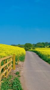 Preview wallpaper road, protection, summer, flowers, yellow, slopes, open spaces, day