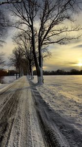 Preview wallpaper road, protector, winter, snow, crust, avenue, sun, sky, clouds