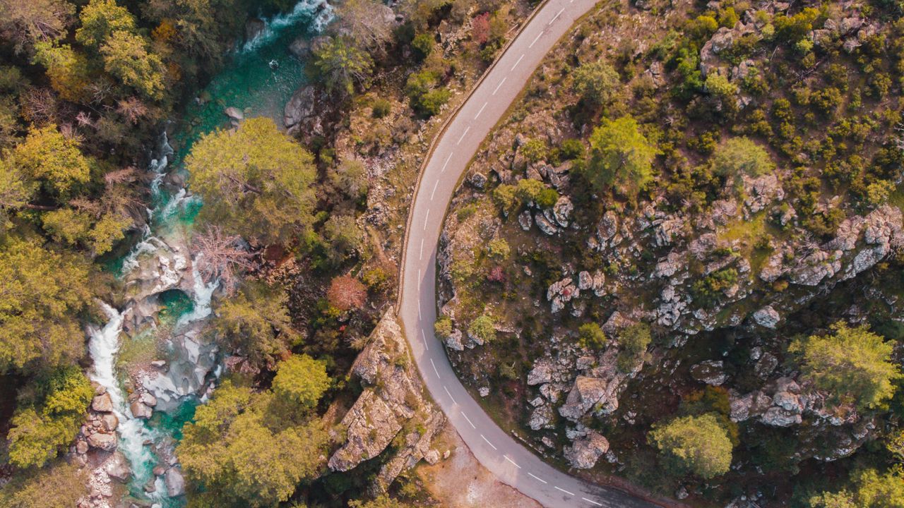 Wallpaper road, river, aerial view, trees