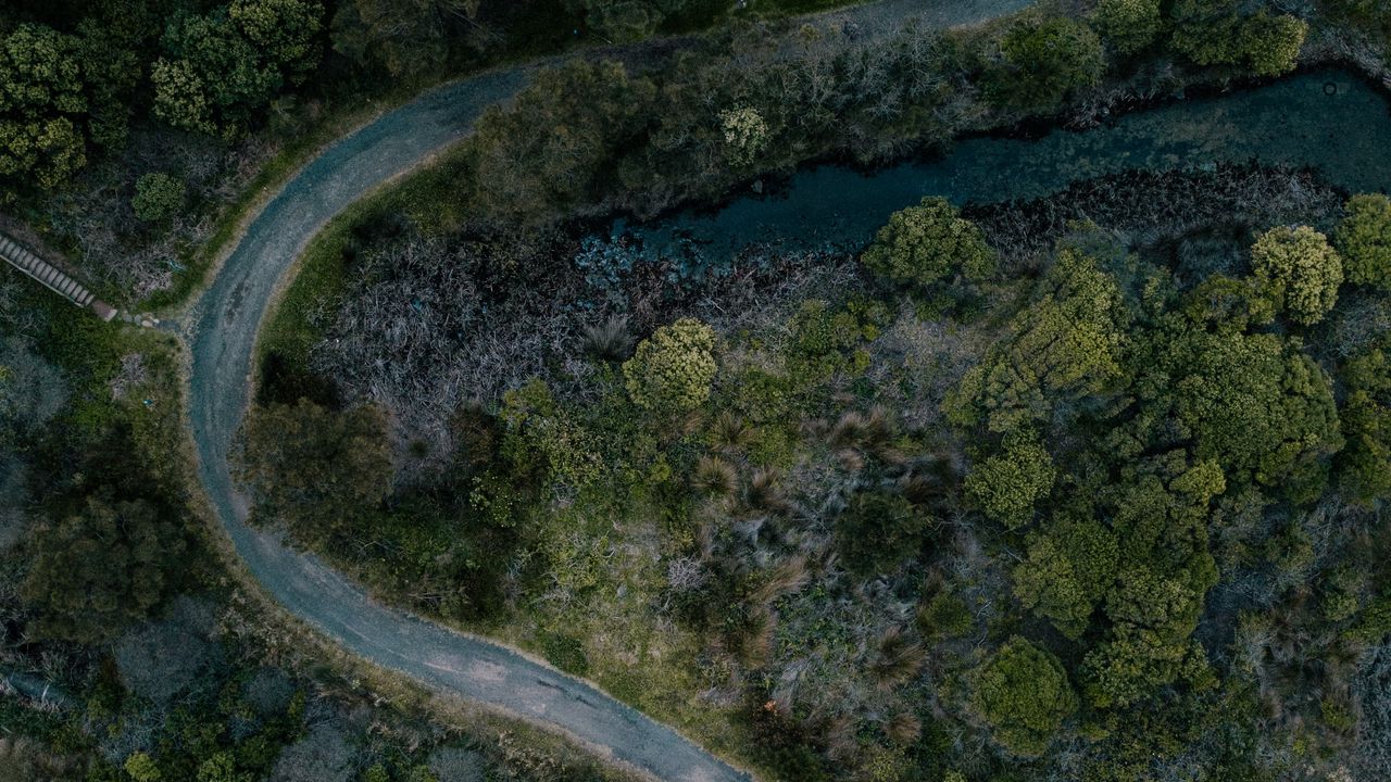 Wallpaper road, river, trees, aerial view
