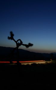 Preview wallpaper road, roadside, twilight, dark, lights, long exposure