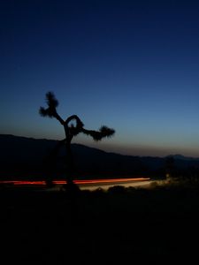 Preview wallpaper road, roadside, twilight, dark, lights, long exposure