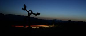 Preview wallpaper road, roadside, twilight, dark, lights, long exposure