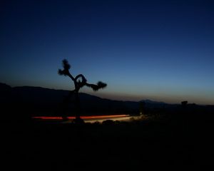 Preview wallpaper road, roadside, twilight, dark, lights, long exposure