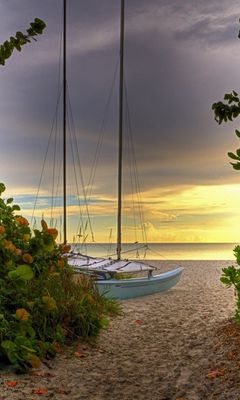 Download wallpaper 240x400 road, sea, yacht, greens, sand, beach, mast  nokia asha 311, samsung galaxy 580, omnia, lg kp500 hd background