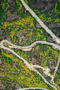 Preview wallpaper road, serpentine, aerial view