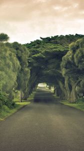 Preview wallpaper road, sign, trees, summer