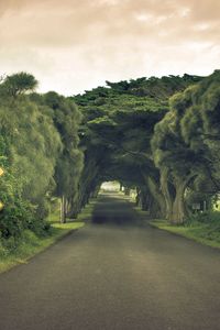 Preview wallpaper road, sign, trees, summer