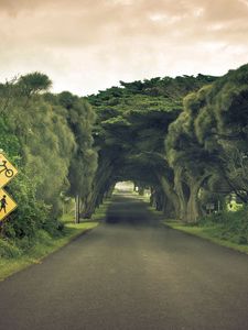 Preview wallpaper road, sign, trees, summer