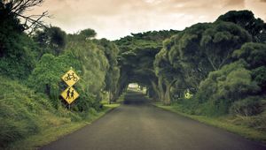 Preview wallpaper road, sign, trees, summer