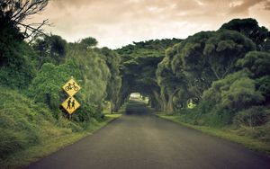 Preview wallpaper road, sign, trees, summer