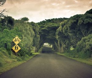 Preview wallpaper road, sign, trees, summer