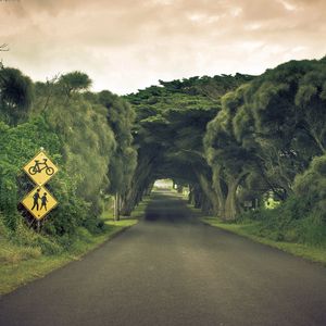 Preview wallpaper road, sign, trees, summer