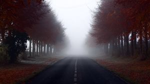 Preview wallpaper road, signs, trees, fog