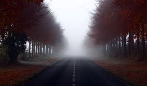 Preview wallpaper road, signs, trees, fog