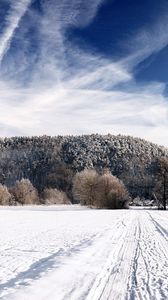 Preview wallpaper road, sky, white, country, frost, traces, trees, ease