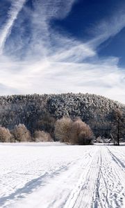 Preview wallpaper road, sky, white, country, frost, traces, trees, ease