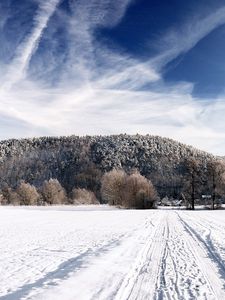 Preview wallpaper road, sky, white, country, frost, traces, trees, ease