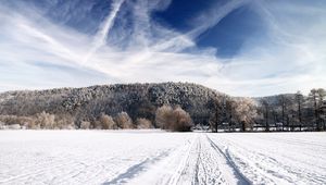 Preview wallpaper road, sky, white, country, frost, traces, trees, ease